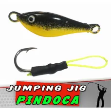 Jig Pindoca Preto Amarelo