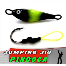 Jig Pindoca Coral Limão